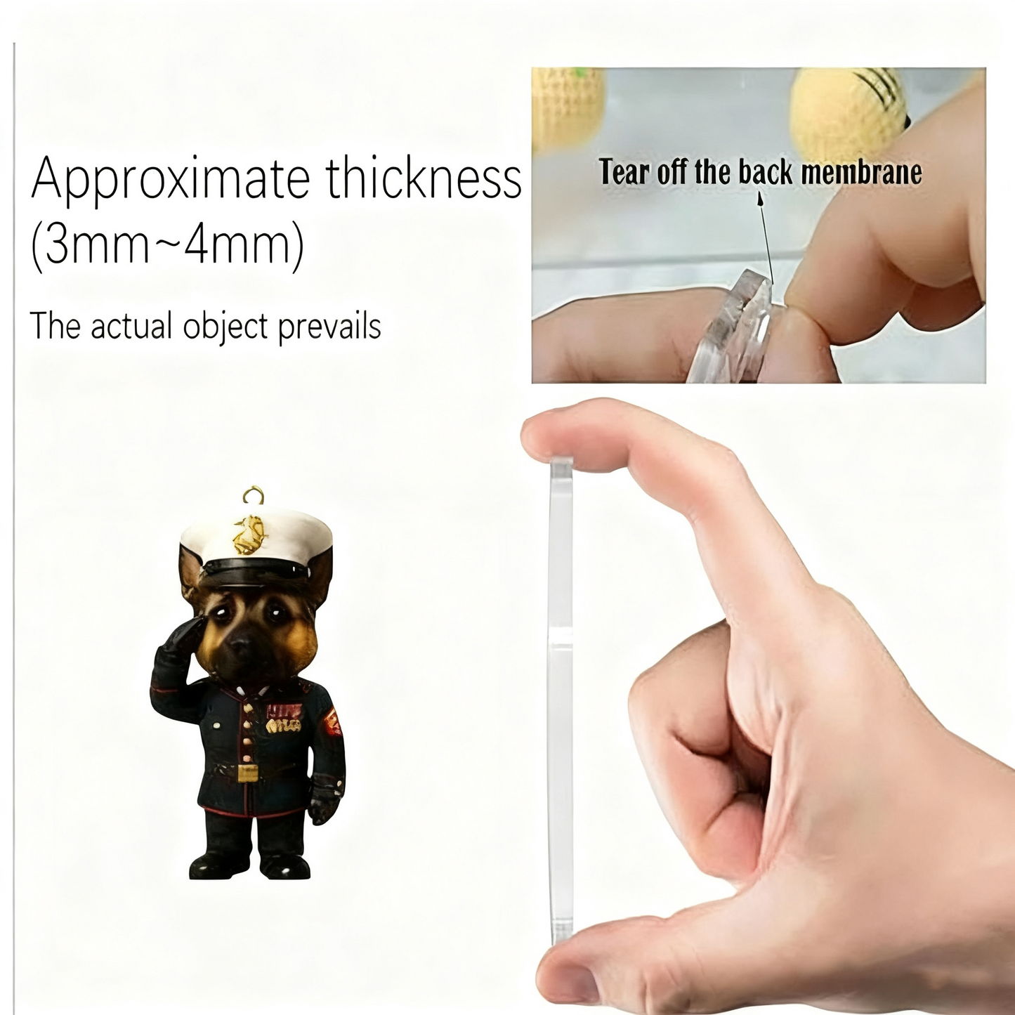 USMC Devil Dog 2025 Advent Calendar 250th Anniversary Edition