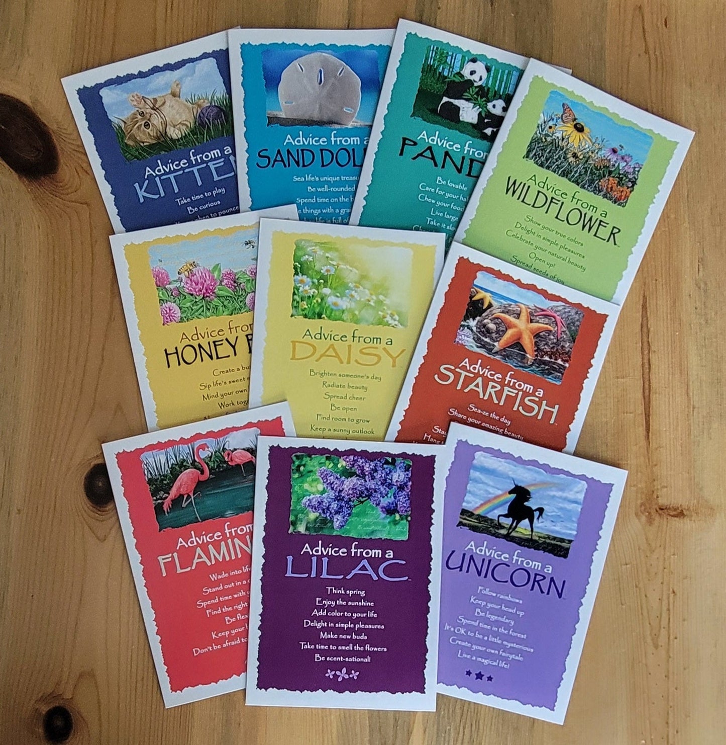 Bright Rainbow - 10 Greeting Card Set