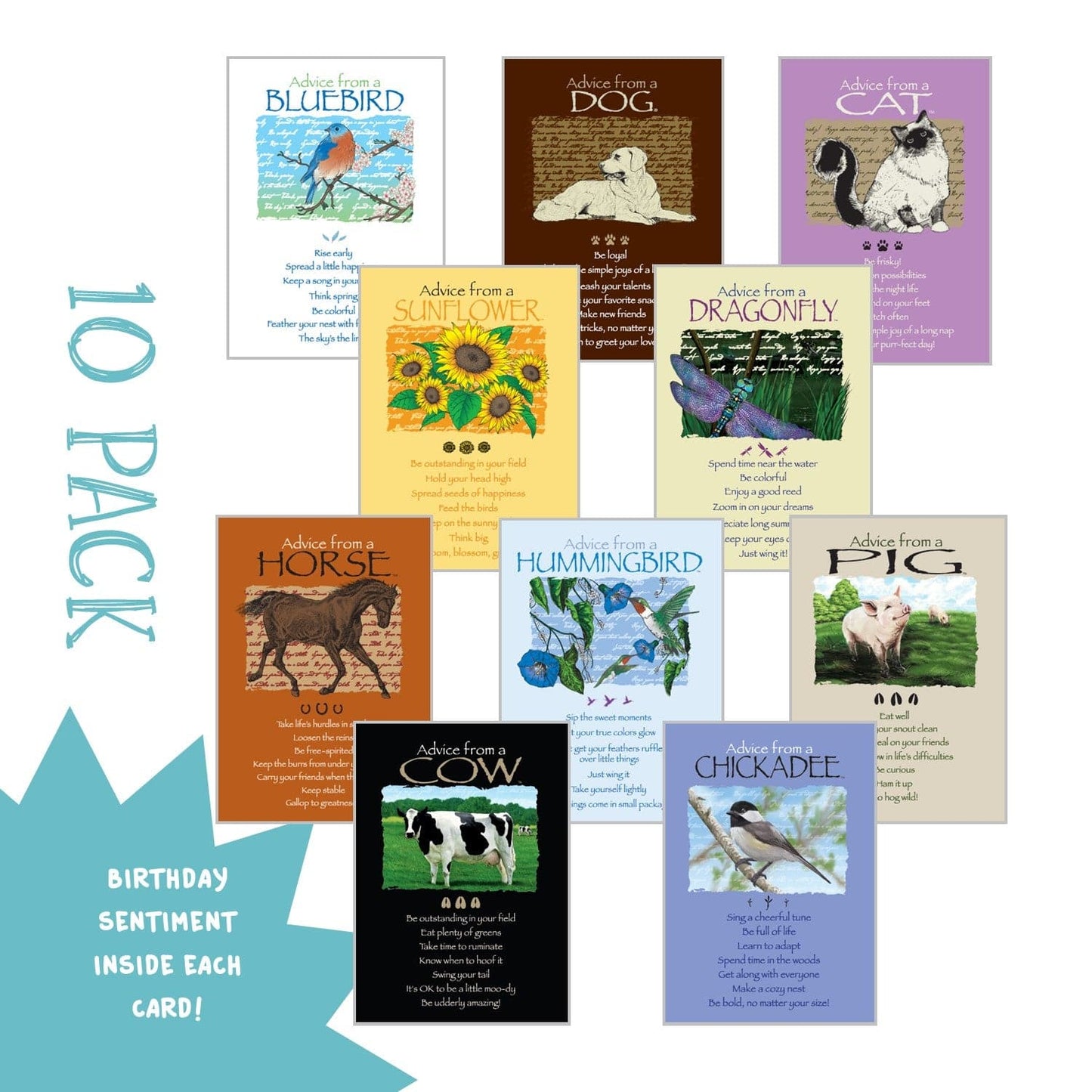 Birthday Farm & Home - Classic Greeting Card 10 Pack