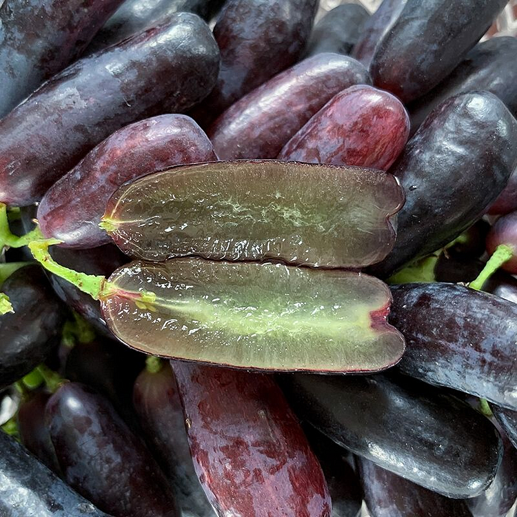 Sweet Sapphire Grapes Seeds