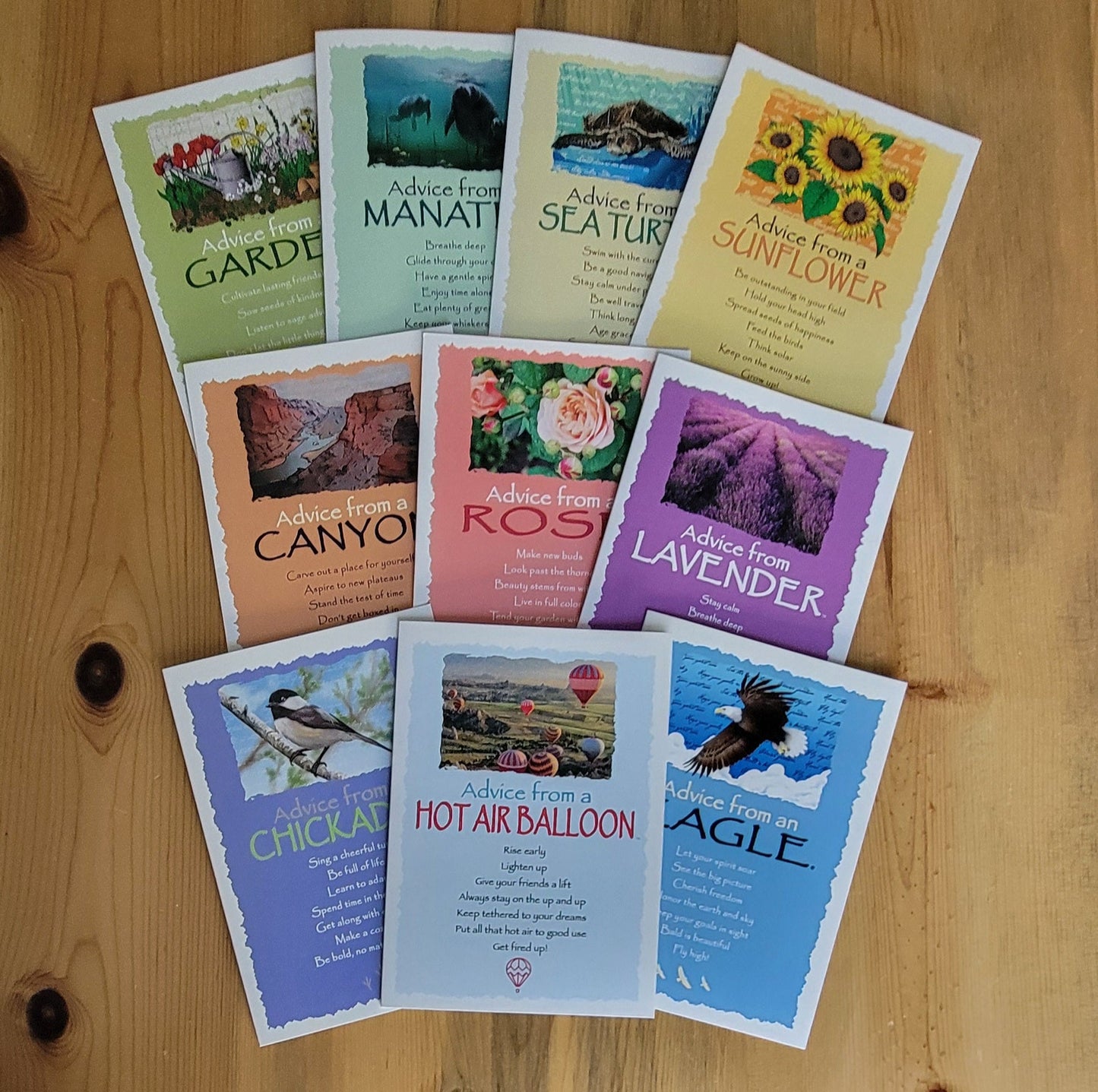 Pastel Rainbow - 10 Greeting Card Set
