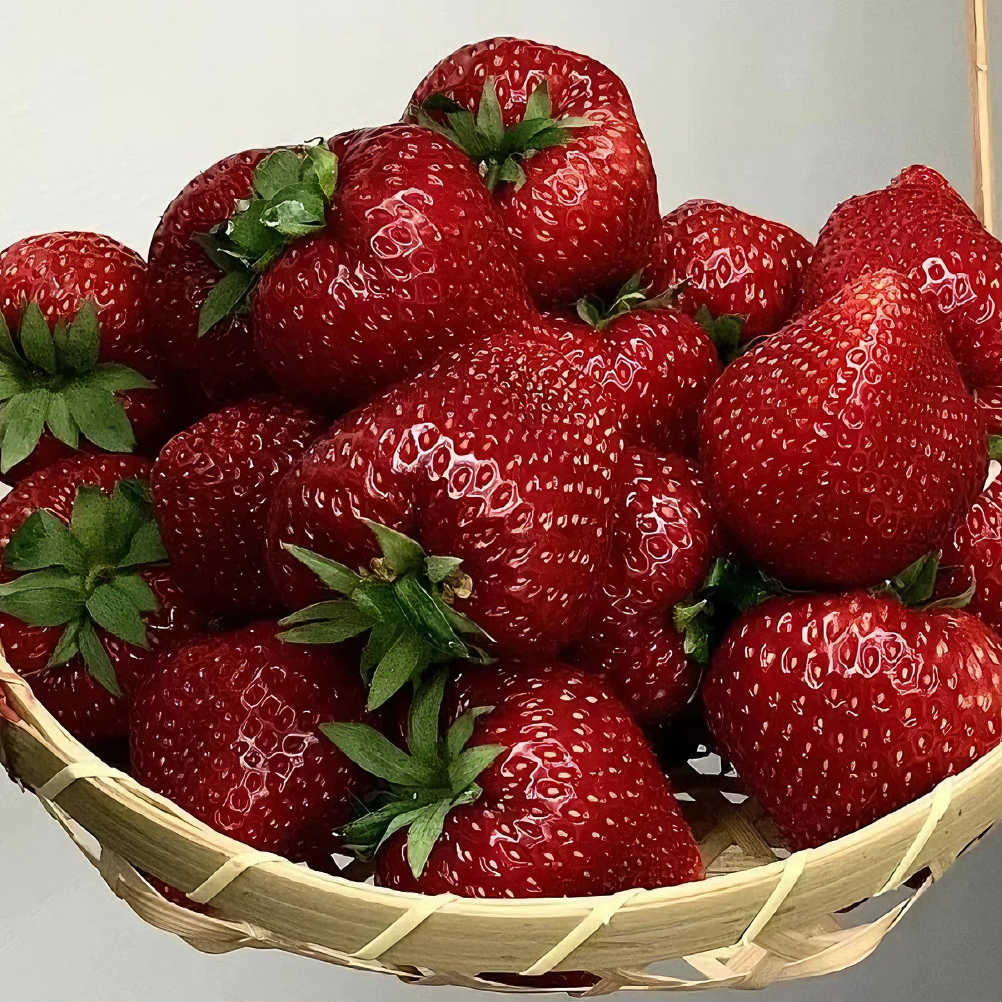 Black strawberry "Shinku no Misuzu" Seeds