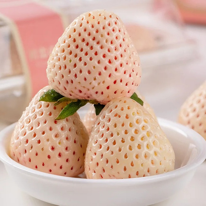 White Strawberry "Dream of shining" Seeds