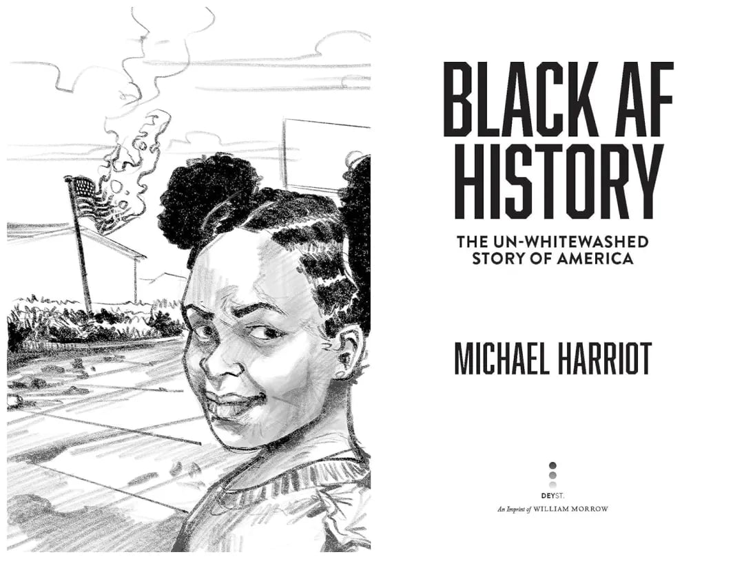 ✨Summer Sale 30% OFF - Black Af History: The Un-Whitewashed History of America