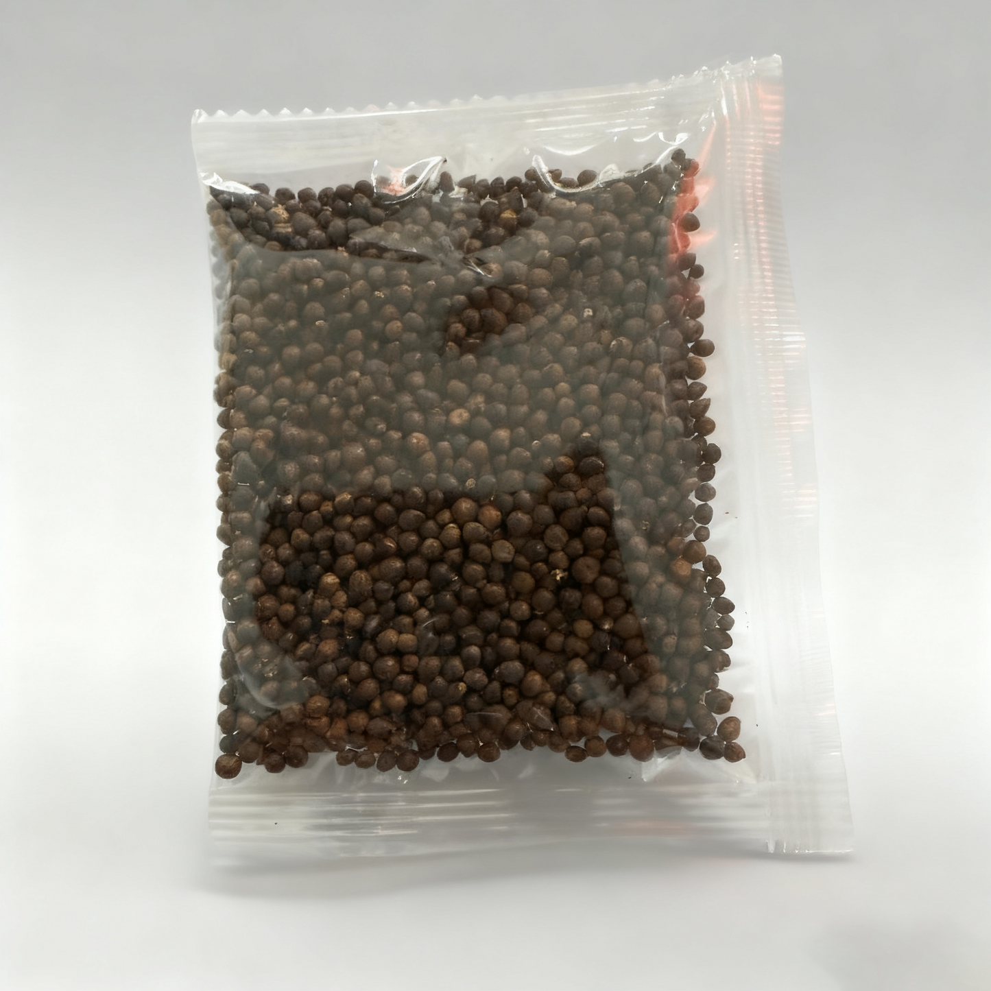 Hosta Seeds Perennial Shade Plant for Garden