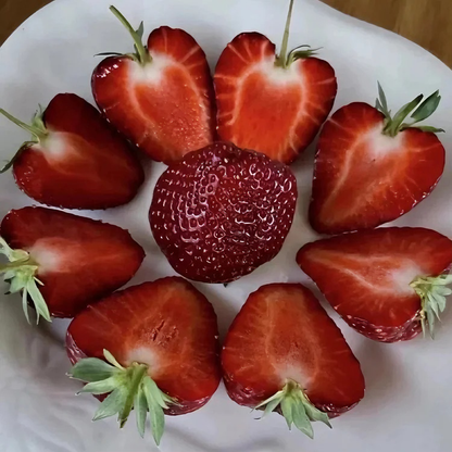 Black strawberry "Shinku no Misuzu" Seeds