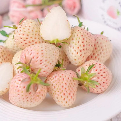 White Strawberry "Dream of shining" Seeds