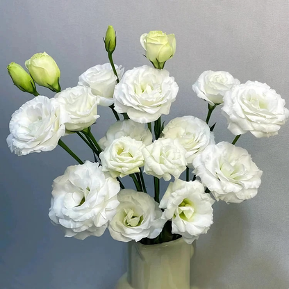 100 Eustoma Flower Seeds