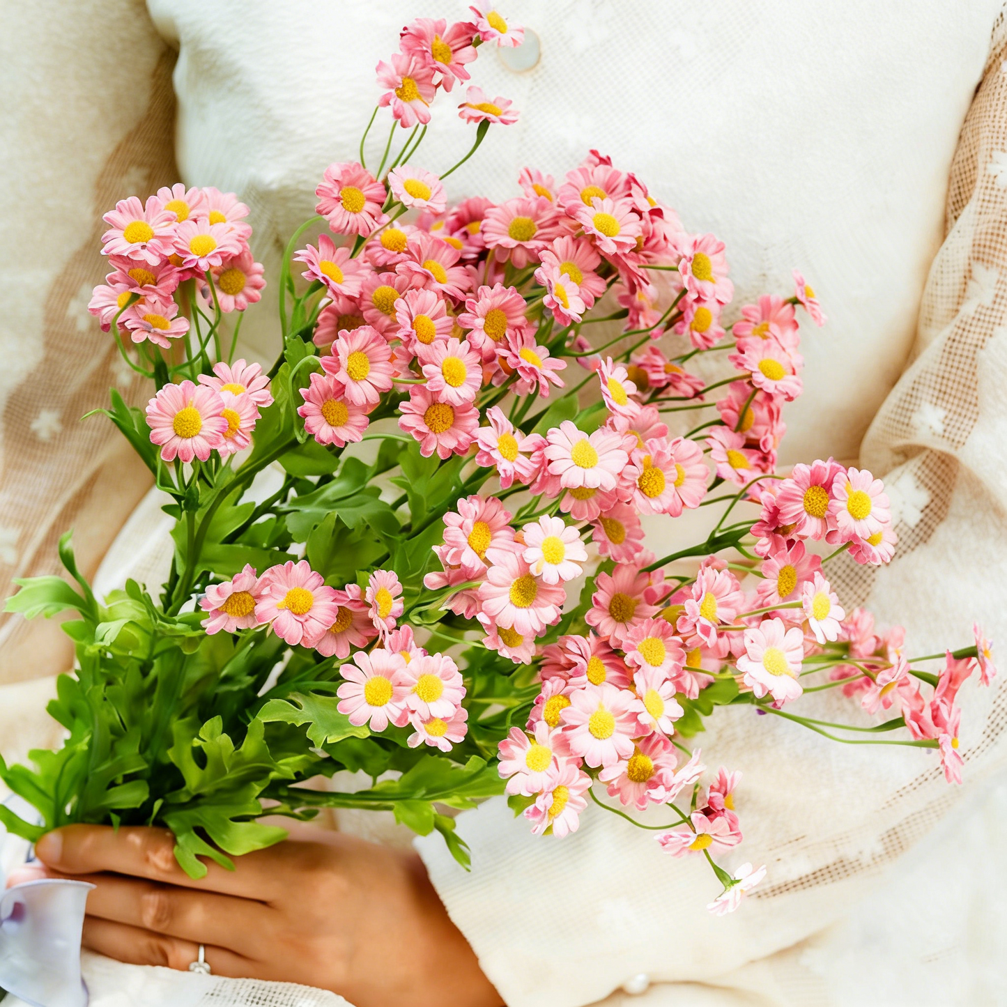 Multicolor Shasta Daisy Flower