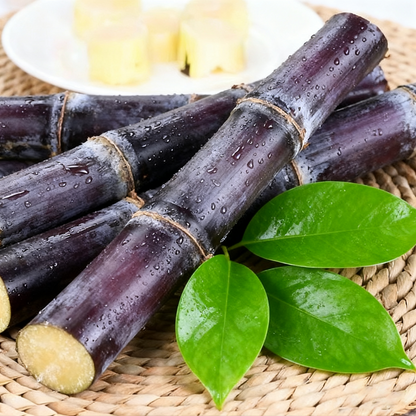 Sweet Harvest Starter Kit 🍃400 Pills Sugar Cane Seeds