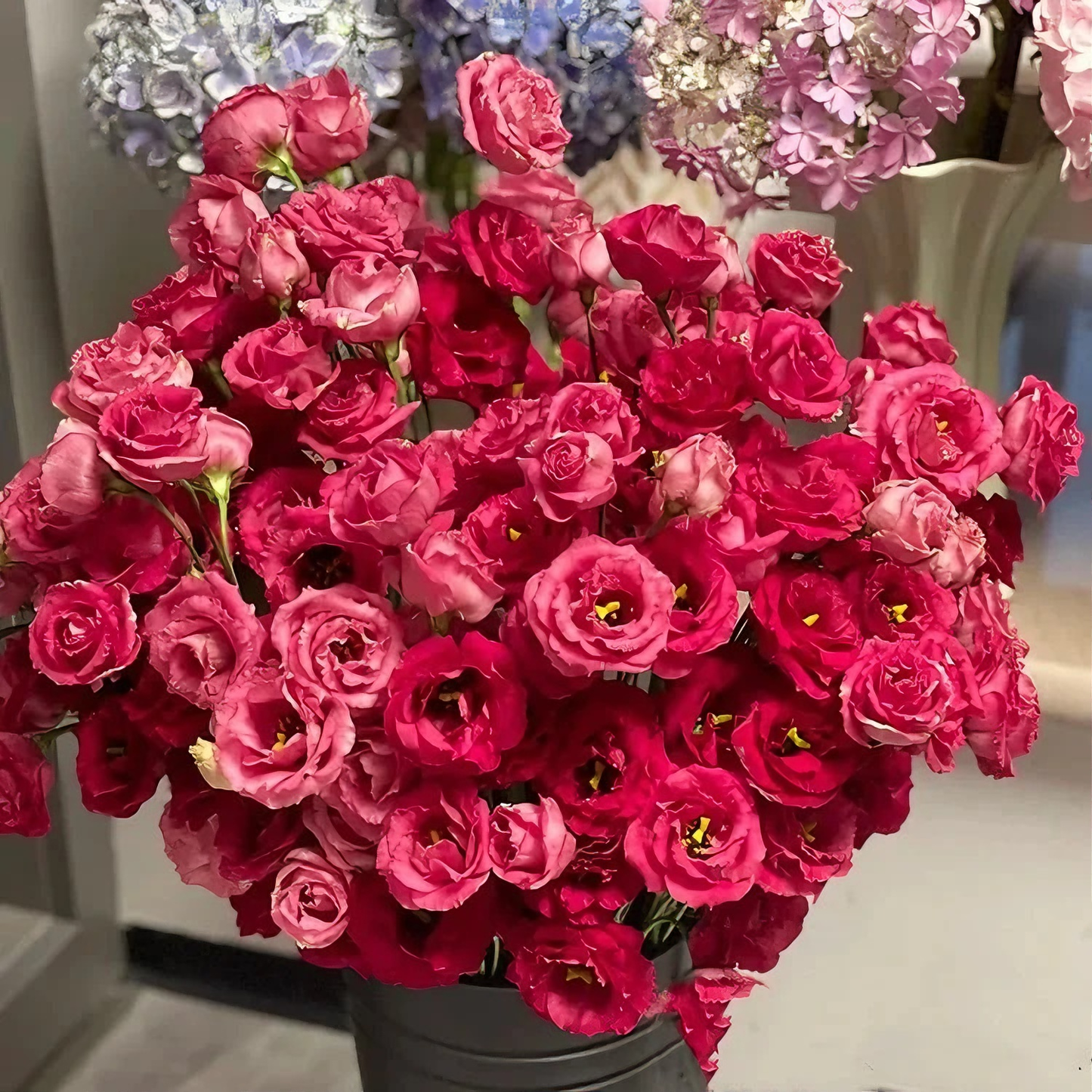 100 Eustoma Flower Seeds