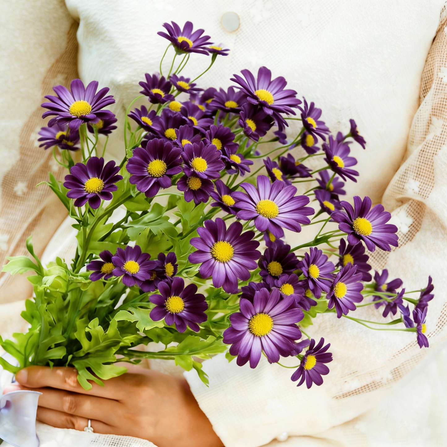 Multicolor Shasta Daisy Flower