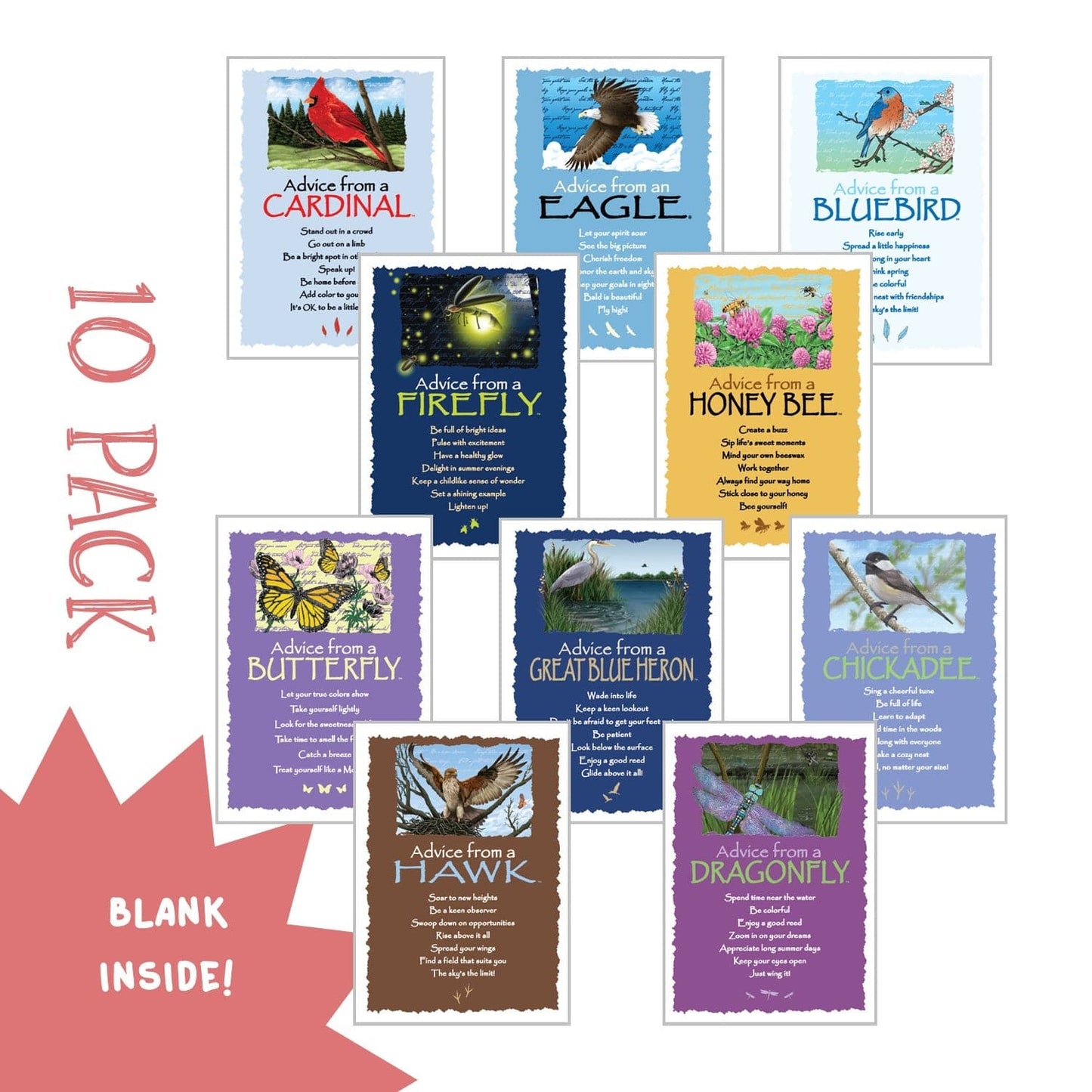 Birds, Bees and Bugs! - Classic Greeting Card 10 Pack