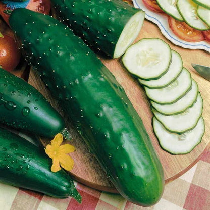 Fruit cucumber seeds