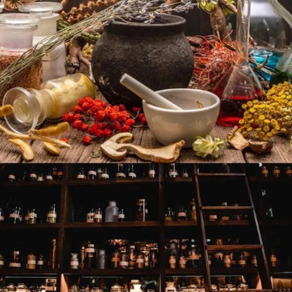 THE HOLISTIC HOME APOTHECARY 1000+