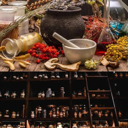 THE HOLISTIC HOME APOTHECARY 1000+