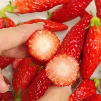 Banana strawberry Seeds