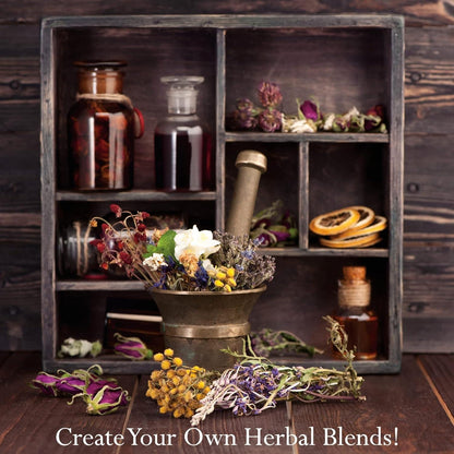 THE HOLISTIC HOME APOTHECARY 1000+