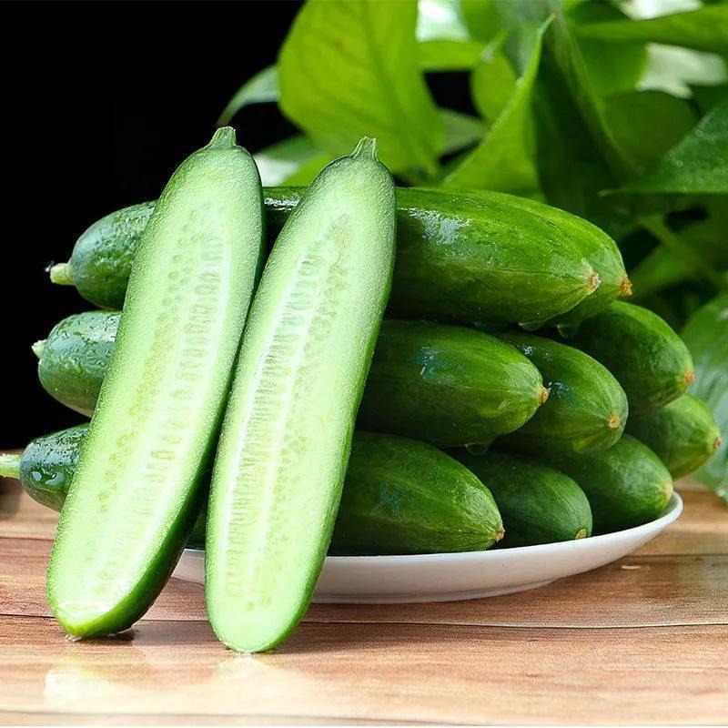 Fruit cucumber seeds