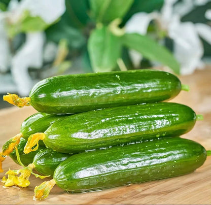 Fruit cucumber seeds