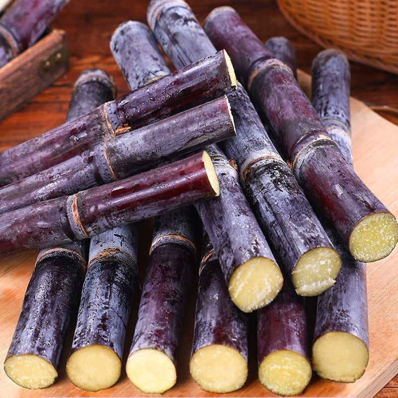 Sweet Harvest Starter Kit 🍃400 Pills Sugar Cane Seeds