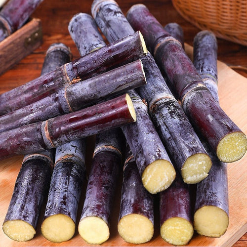 Sweet Harvest Starter Kit 🍃400 Pills Sugar Cane Seeds