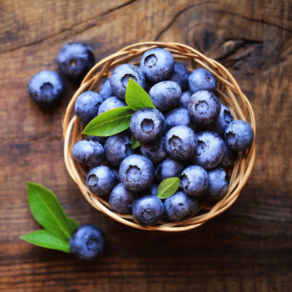 200 Sweet & Hardy Blueberry Bush Seeds