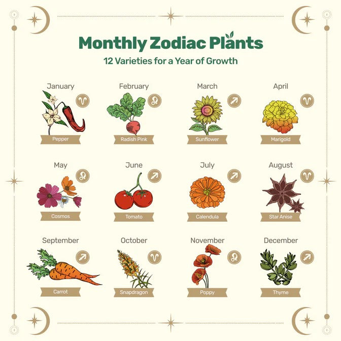 Zodiac Seed Bank with Moon Calendar - Fire Signs (Aries, Leo, Sagittarius)