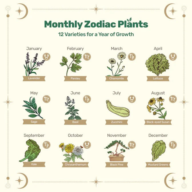 Zodiac Seed Bank with Moon Calendar - Earth Signs (Taurus, Virgo, Capricorn)