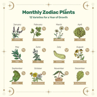 Zodiac Seed Bank with Moon Calendar - Earth Signs (Taurus, Virgo, Capricorn)