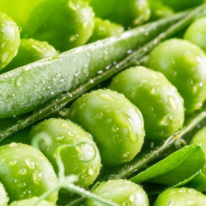Plump pea seeds