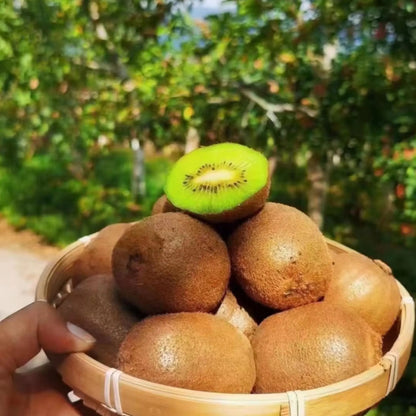 Kiwi Fruit Seeds