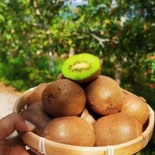 Kiwi Fruit Seeds