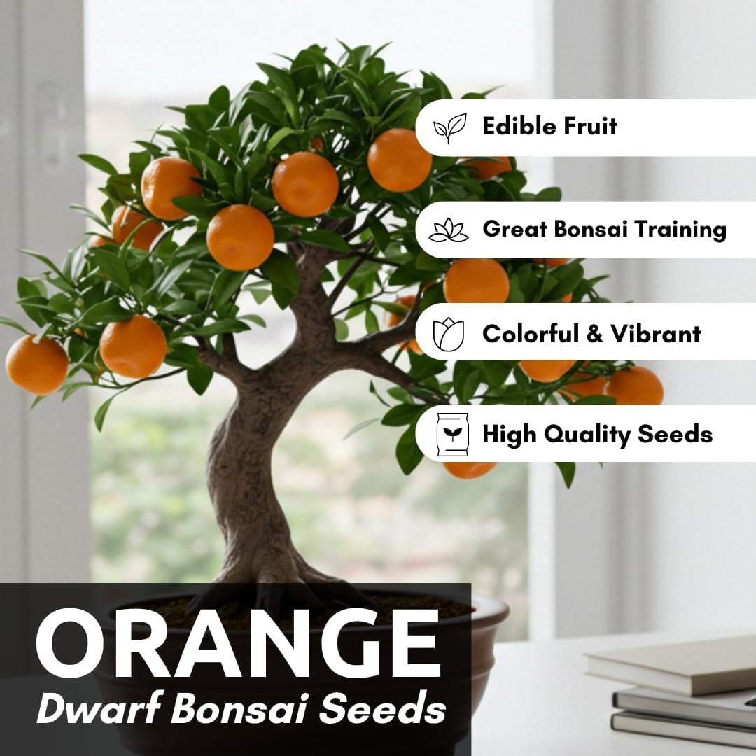 20 Pills Hardy Orange Bonsai Tree Seeds