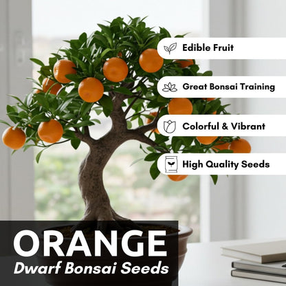 20 Pills Hardy Orange Bonsai Tree Seeds